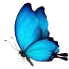 🦋 Эмодзи «Синий» для Telegram