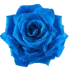 🌸 Эмодзи «Синий» для Telegram