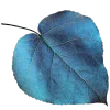 🌸 Эмодзи «Синий» для Telegram