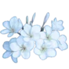 🌸 Эмодзи «Ещё немного миленьких мишек и зайчиков 🥰» для Telegram
