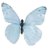 🥳 Эмодзи «ʚɞʚɞ» для Telegram