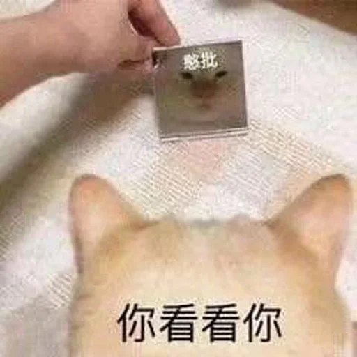 🐶 Стикер «Bluepants 的私藏 (1)» для Telegram