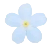 🤩 Эмодзи «🤩blue - синие» для Telegram