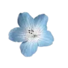 🤩 Эмодзи «🤩blue - синие» для Telegram