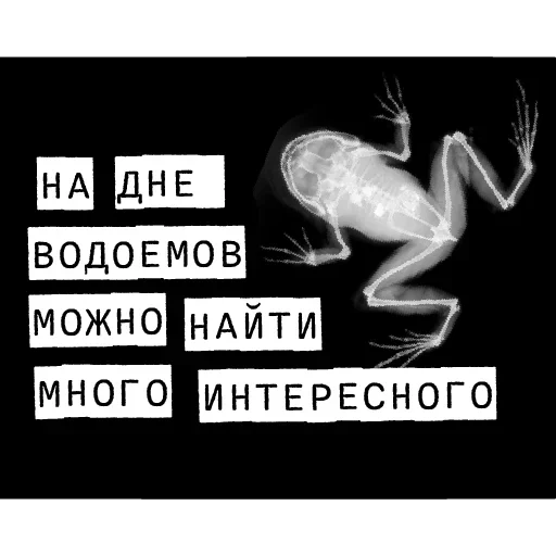 🤢 Стикер «Forensics» для Telegram