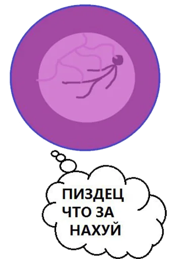 Стикерпак BOINCPROTEINE для Telegram — скачать