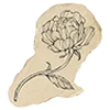 🌸 Эмодзи «book aesthetics font» для Telegram