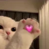 💕 Эмодзи «book girl» для Telegram