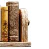 📚 Эмодзи «Книги девы» для Telegram