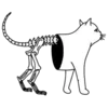 🐈 Эмодзи «Boomerang» для Telegram