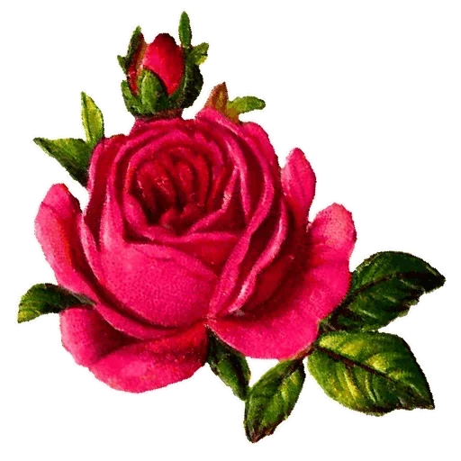 😙 Стикер «Bow» для Telegram