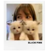 🖤 Эмодзи «blackpink» для Telegram