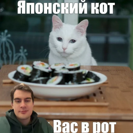 😎 Стикер «bratishkinoff» для Telegram