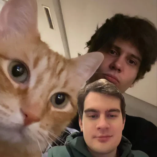 😎 Стикер «bratishkinoff» для Telegram