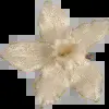 🤩 Эмодзи «Brown & Beige» для Telegram