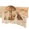 📜 Эмодзи «🌿 Осенний муд в милых смайликах» для Telegram