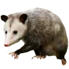 🦡 Эмодзи «🌿 Осенний муд в милых смайликах» для Telegram