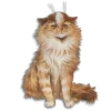 😸 Эмодзи «Mythology And Aesthetics» для Telegram