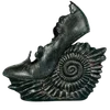 🌟 Эмодзи «Cr» для Telegram