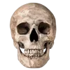 💀 Эмодзи «Western» для Telegram