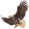 🦅 Эмодзи «Western» для Telegram