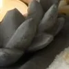 🤩 Эмодзи «Буддизм» для Telegram