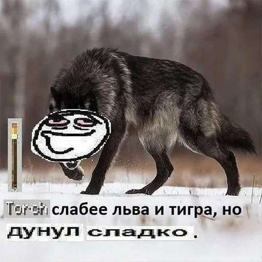😑 Стикер «Be a wolf» для Telegram