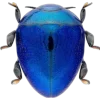 🤩 Эмодзи «Bugs And Stuff» для Telegram