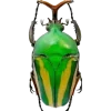 🤩 Эмодзи «Bugs And Stuff» для Telegram