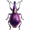 🤩 Эмодзи «Bugs And Stuff» для Telegram