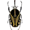 🤩 Эмодзи «Bugs And Stuff» для Telegram