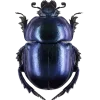🤩 Эмодзи «Bugs And Stuff» для Telegram