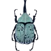 🤩 Эмодзи «Bugs And Stuff» для Telegram