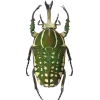 🤩 Эмодзи «Bugs And Stuff» для Telegram