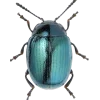 🤩 Эмодзи «Bugs And Stuff» для Telegram