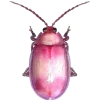 🤩 Эмодзи «Bugs And Stuff» для Telegram