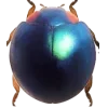🤩 Эмодзи «Bugs And Stuff» для Telegram
