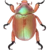 🤩 Эмодзи «Bugs And Stuff» для Telegram