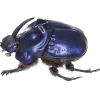 🤩 Эмодзи «Bugs And Stuff» для Telegram