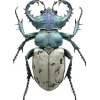 🤩 Эмодзи «Bugs And Stuff» для Telegram