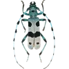 🤩 Эмодзи «Bugs And Stuff» для Telegram