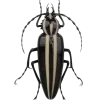 🤩 Эмодзи «Bugs And Stuff» для Telegram