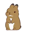 🐰 Эмодзи «Bunny» для Telegram