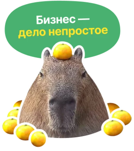 Стикерпак Бизнес.Поколение для Telegram — скачать