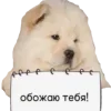 🥰 Эмодзи «😎 собакены» для Telegram