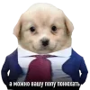 😃 Эмодзи «😎 собакены» для Telegram