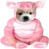 😚 Эмодзи «😎 собакены» для Telegram