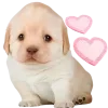 🥰 Эмодзи «😎 собакены» для Telegram