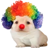 🤡 Эмодзи «😎 собакены» для Telegram