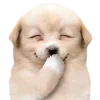 😀 Эмодзи «😎 собакены» для Telegram
